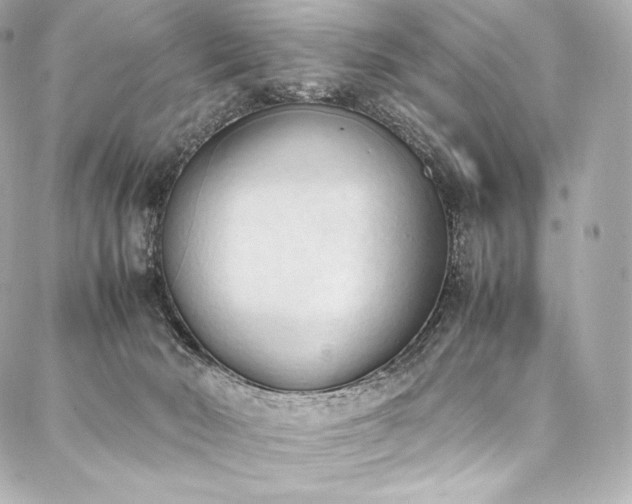 X0000088150030200705141559