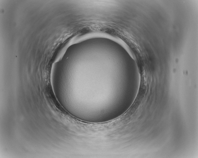 X0000088150031200705141559