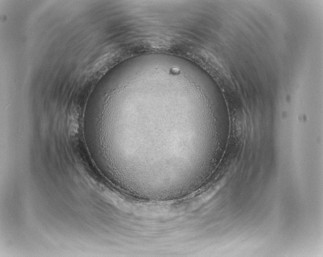 X0000088150032200705141559