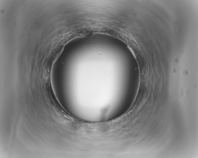 X0000088150033200705141559