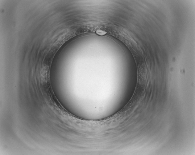 X0000088150034200705141559