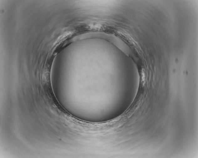 X0000088150035200705141559