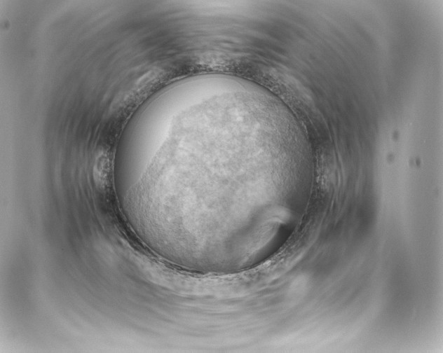 X0000088150036200705141559