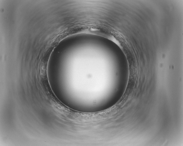 X0000088150037200705141559