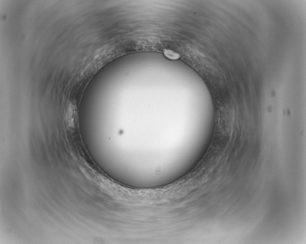 X0000088150038200705141559