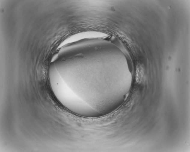 X0000088150039200705141559