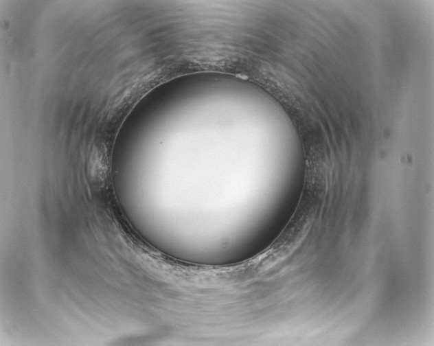 X0000088150040200705141559