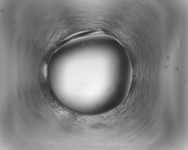 X0000088150041200705141559