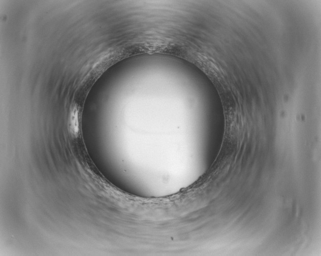 X0000088150042200705141559