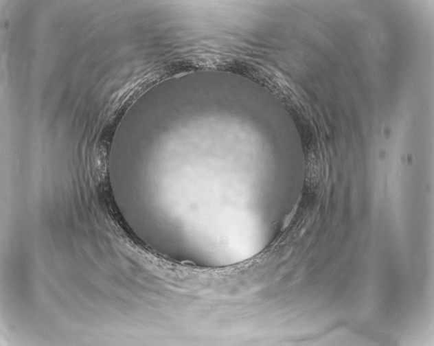 X0000088150043200705141559