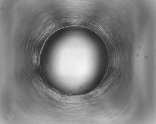 X0000088150044200705141559