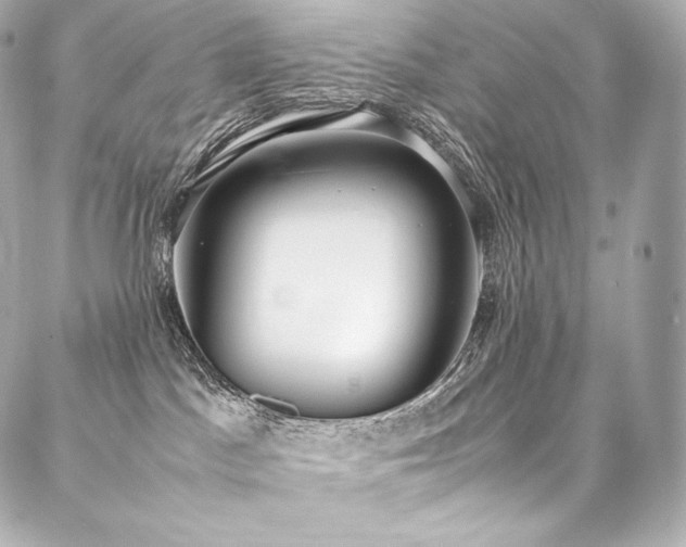 X0000088150045200705141559