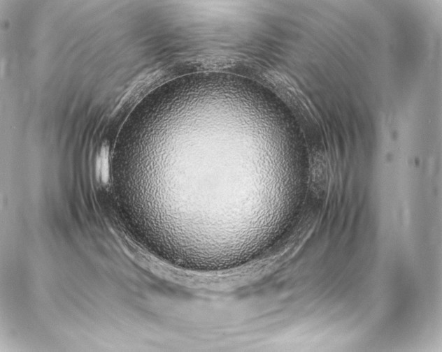 X0000088150046200705141559