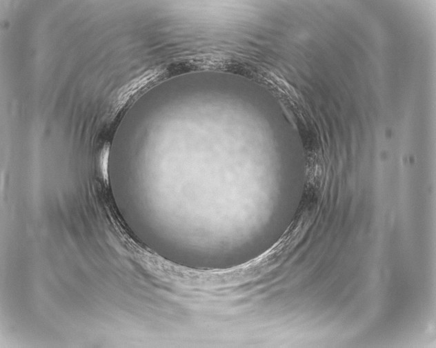 X0000088150047200705141559