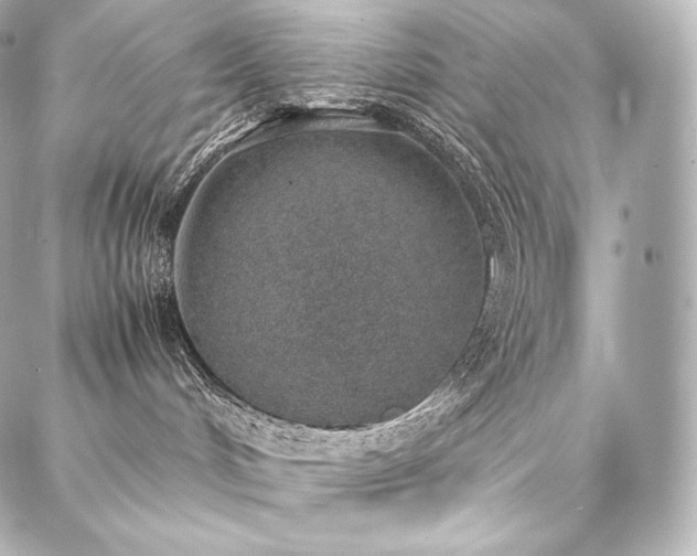 X0000088150048200705141559