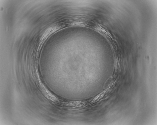 X0000088150049200705141558