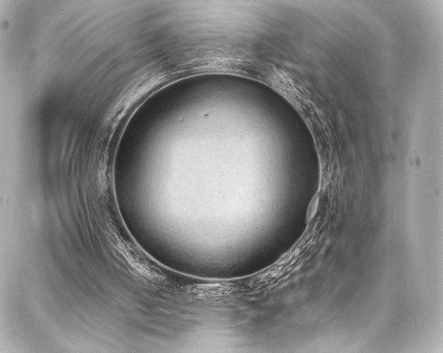 X0000088150050200705141558