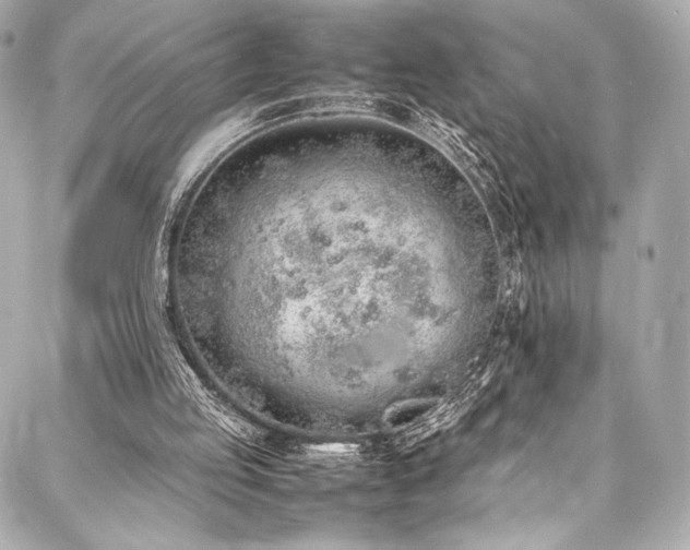 X0000088150053200705141558