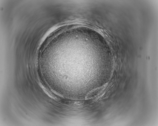 X0000088150056200705141559