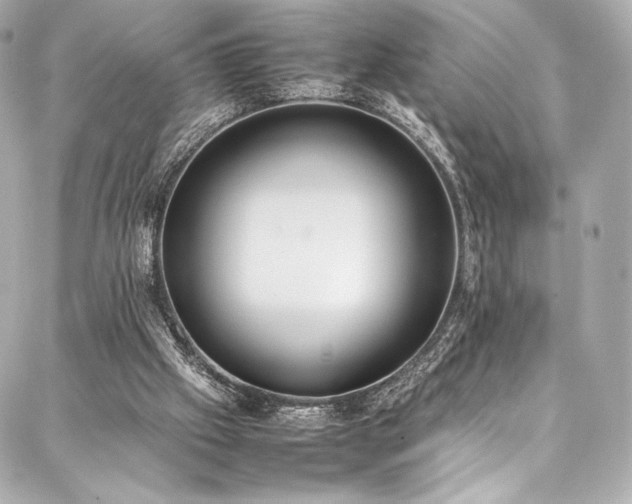 X0000088150057200705141559