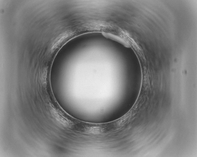 X0000088150058200705141559