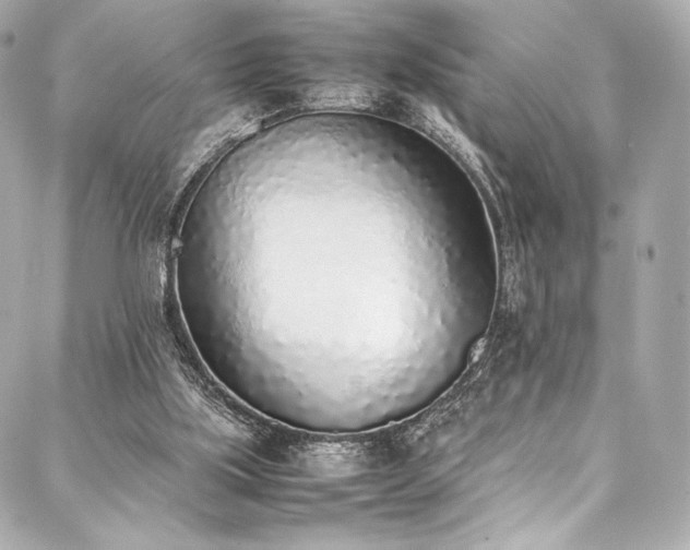 X0000088150059200705141559