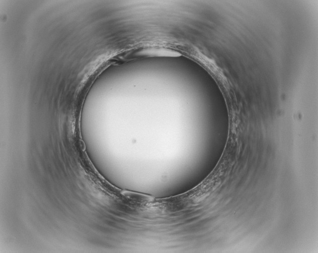 X0000088150060200705141559