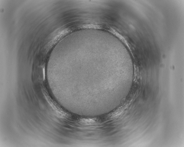 X0000088150061200705141559