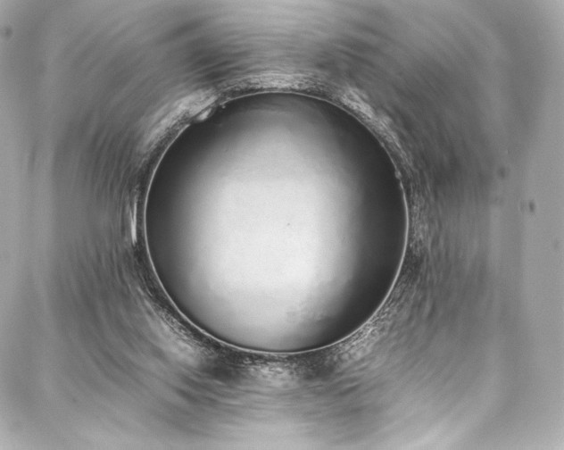 X0000088150062200705141559