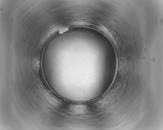 X0000088150063200705141559