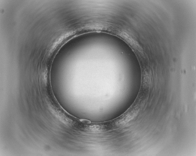 X0000088150064200705141559