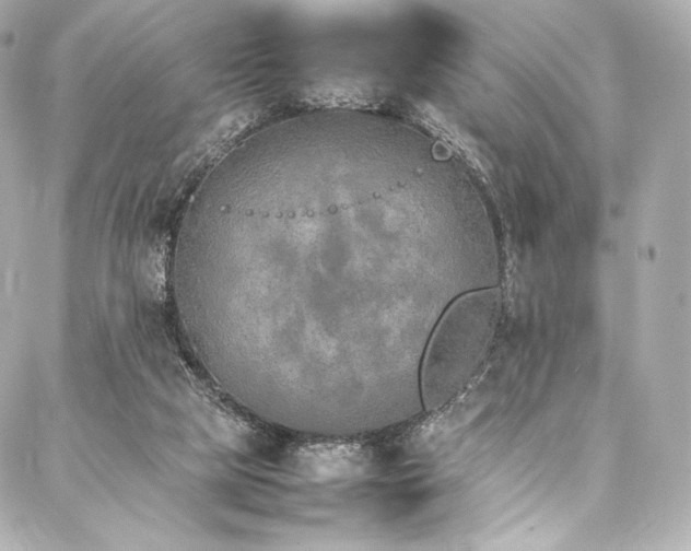 X0000088150065200705141559