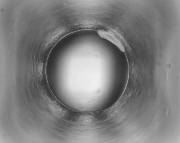 X0000088150066200705141559