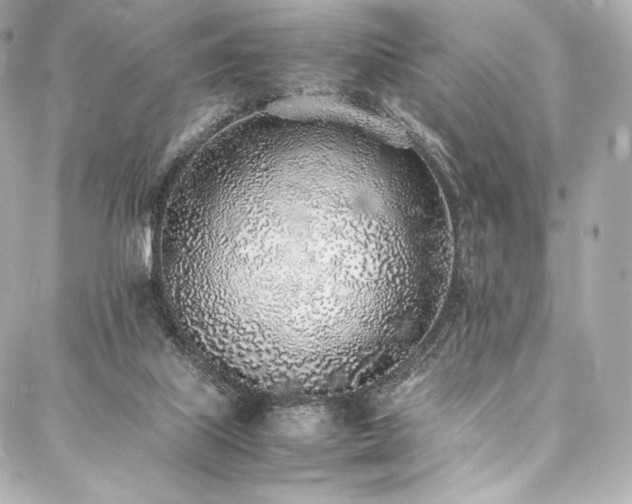 X0000088150067200705141559