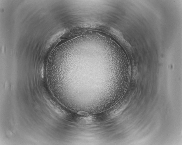 X0000088150068200705141559