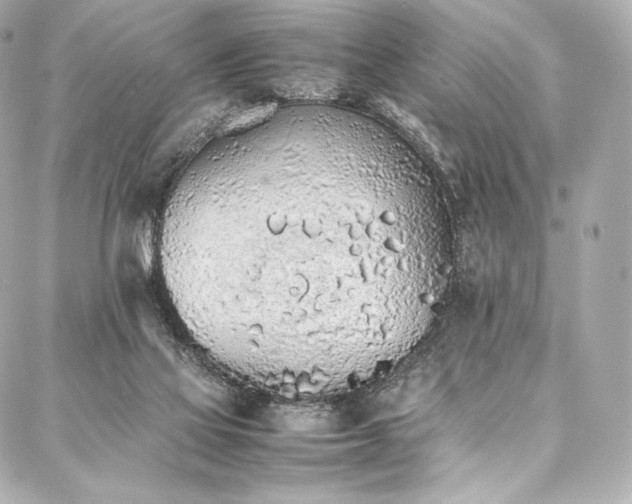 X0000088150069200705141559