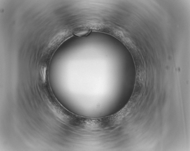 X0000088150070200705141559