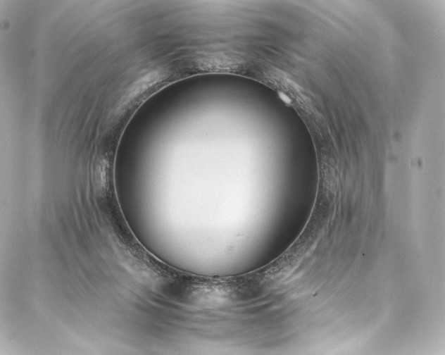 X0000088150071200705141559