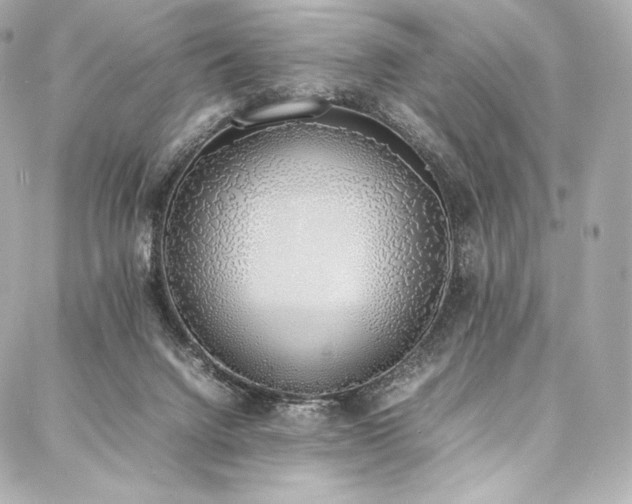 X0000088150072200705141559