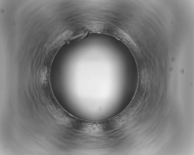 X0000088150073200705141559