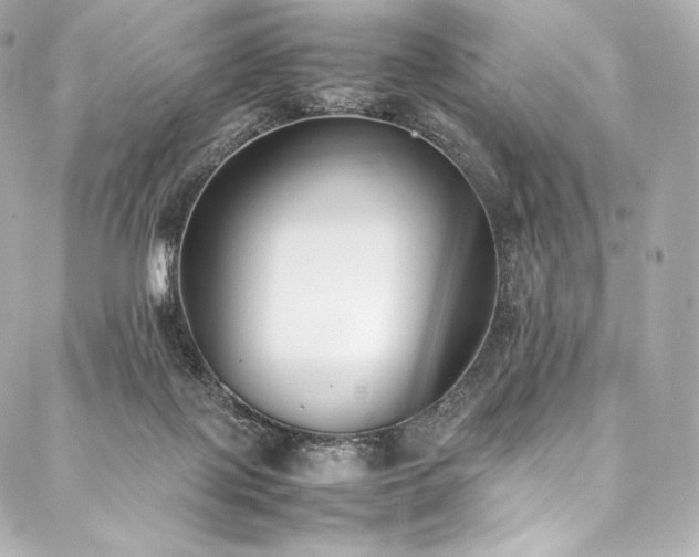 X0000088150075200705141559