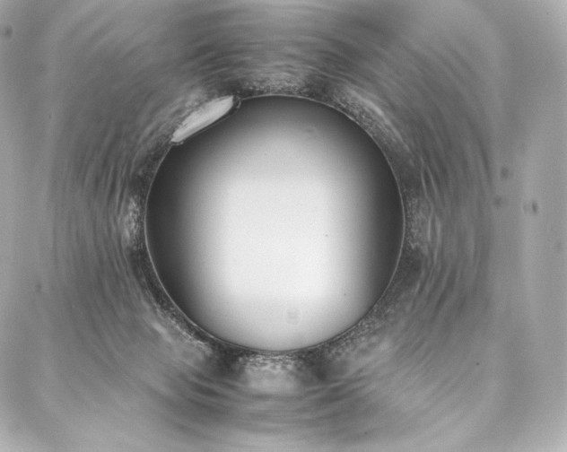 X0000088150077200705141559