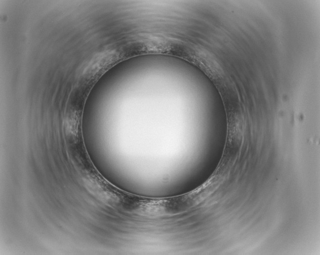 X0000088150078200705141559