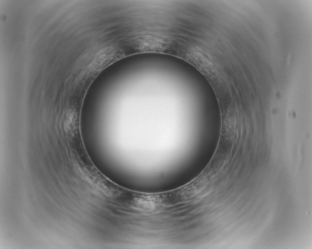 X0000088150079200705141559