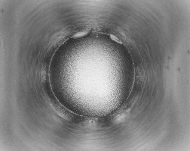 X0000088150080200705141559