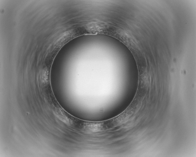 X0000088150081200705141559