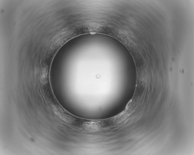 X0000088150082200705141559