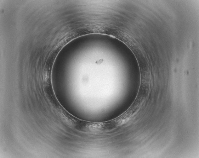 X0000088150084200705141559