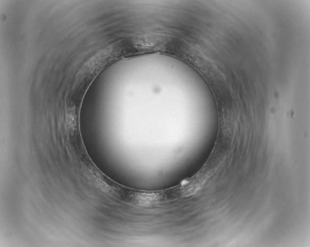 X0000088150085200705141559