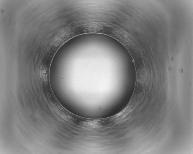 X0000088150086200705141559